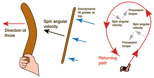 Trayectoria de giro de un boomerang