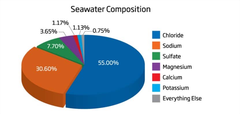 Componentes de las sales minerales del agua marina