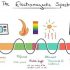 Portada Espectro Electromagnetico